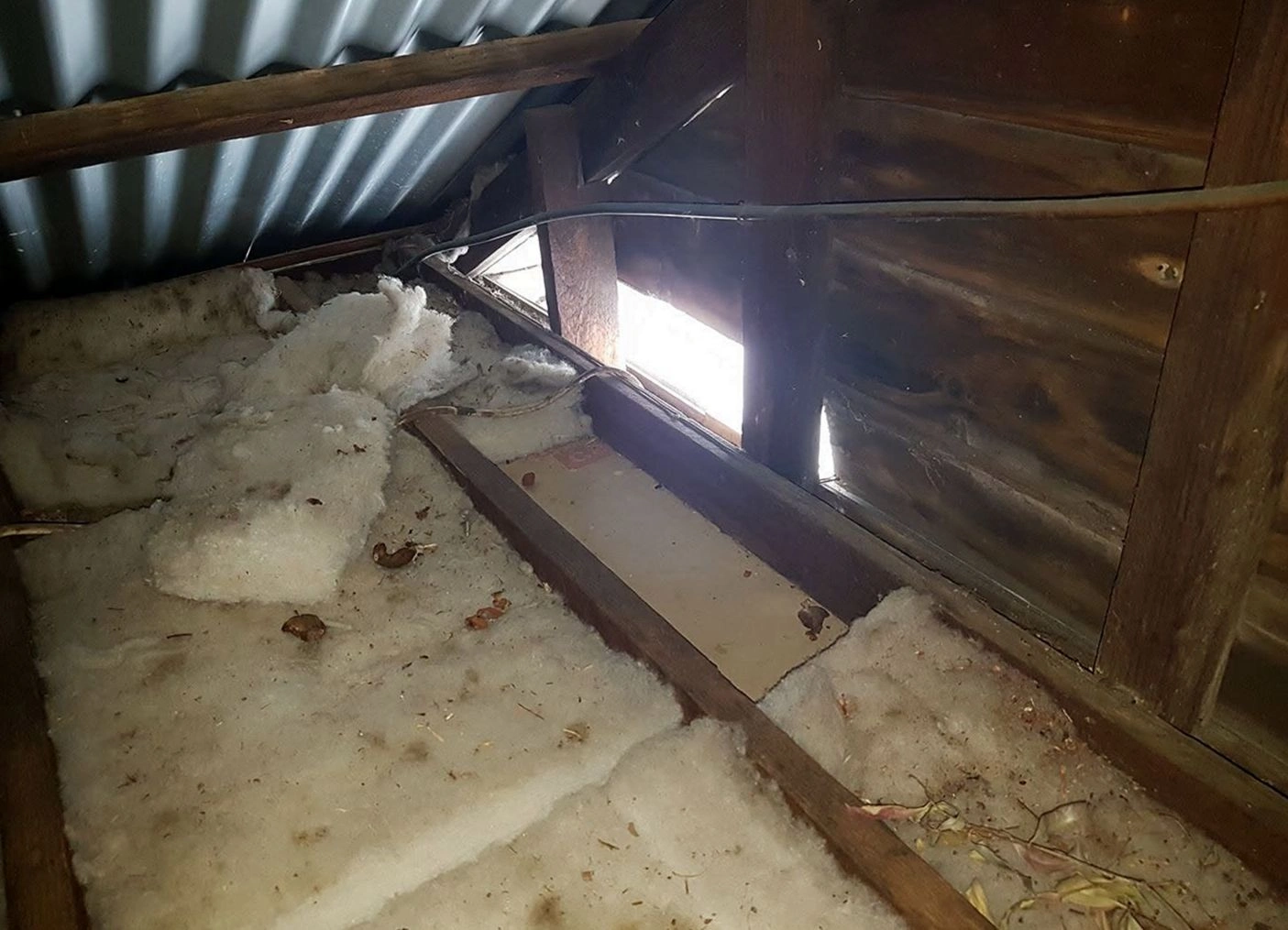 Commercial pest control service at a business in Augusta, GA